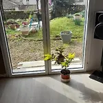 La Terrasse *
